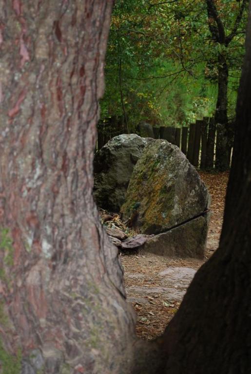 Broceliande-Sept2016-003