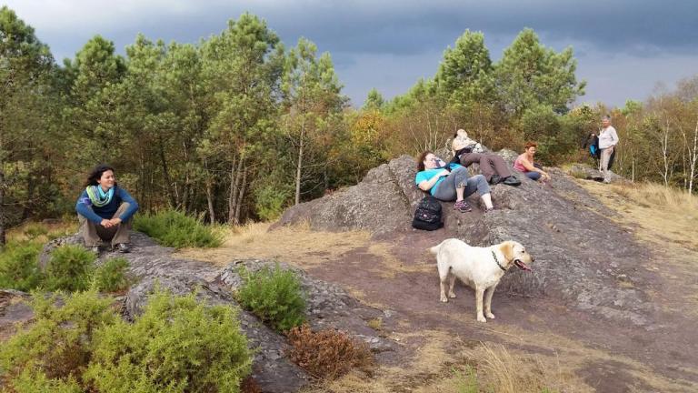 Broceliande-Sept2016-01