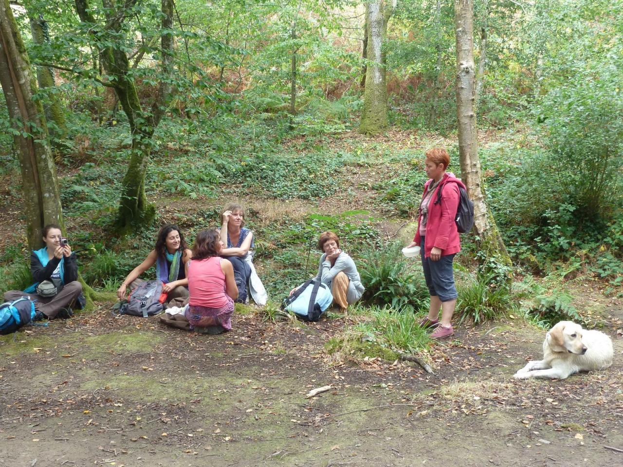 Broceliande-Sept2016-03