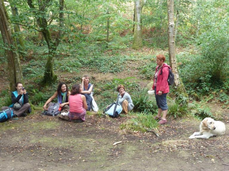 Broceliande-Sept2016-03