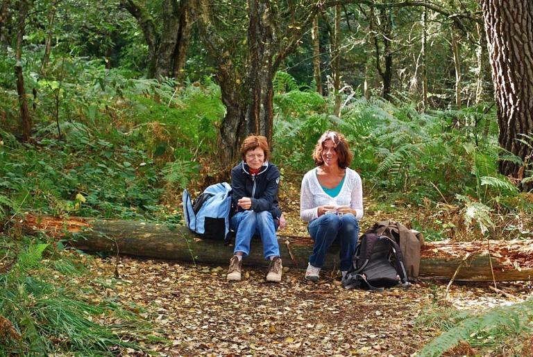 Broceliande-Sept2016-04