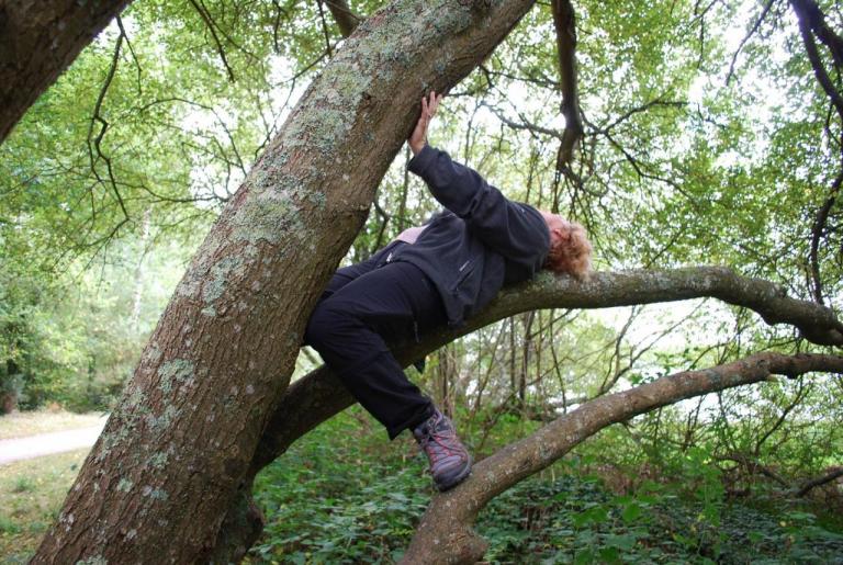 Broceliande-Sept2016-05