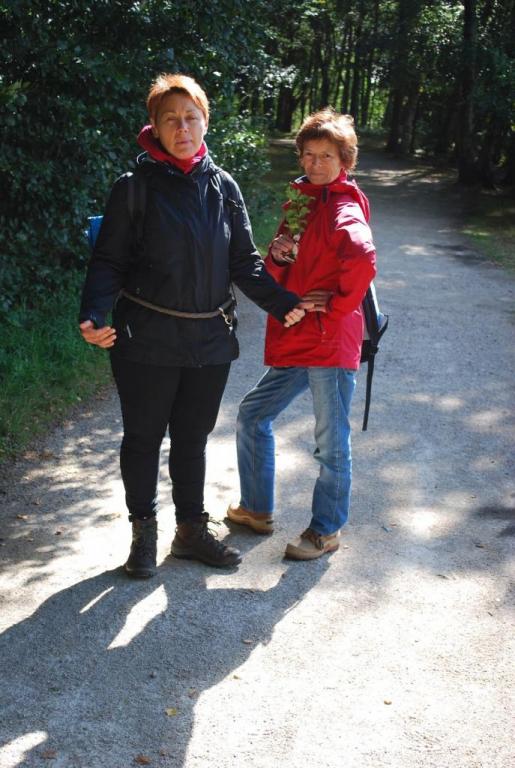 Broceliande-Sept2016-06