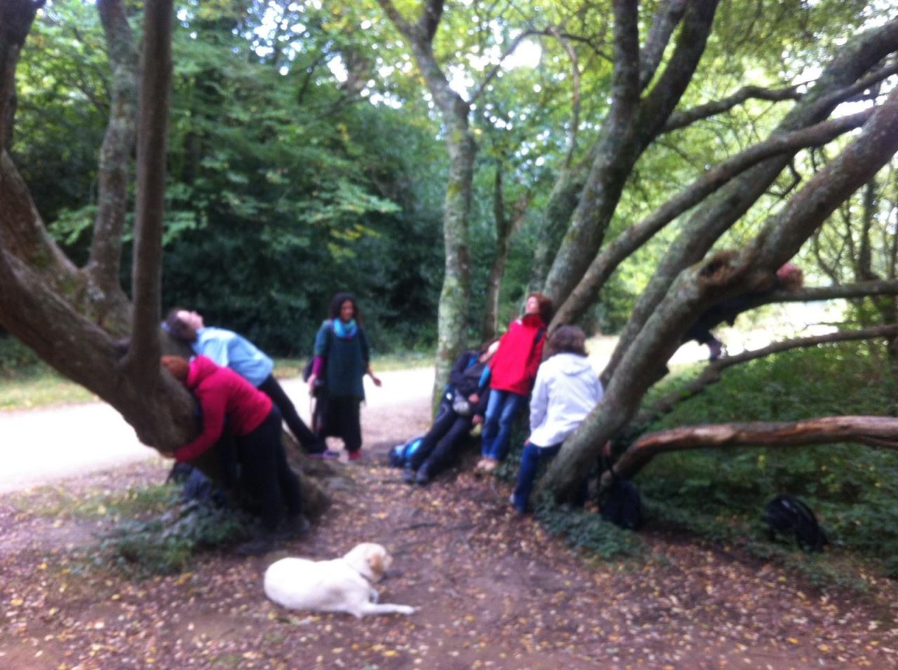 Broceliande-Sept2016-14
