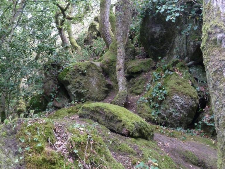 Broceliande-Sept2016-ValSansRetour2