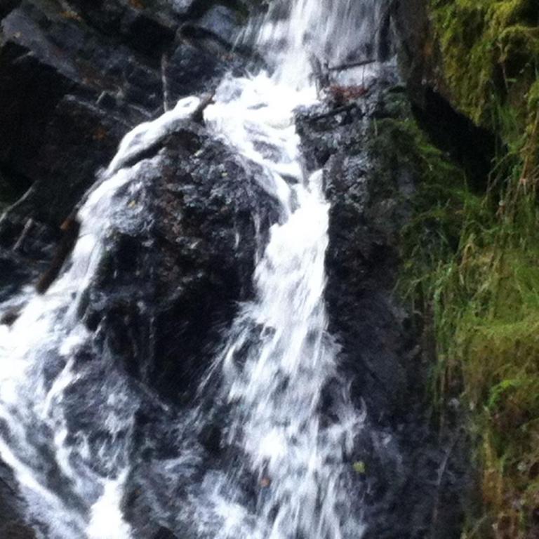 Brocéliande Cascade Val Sans Retour