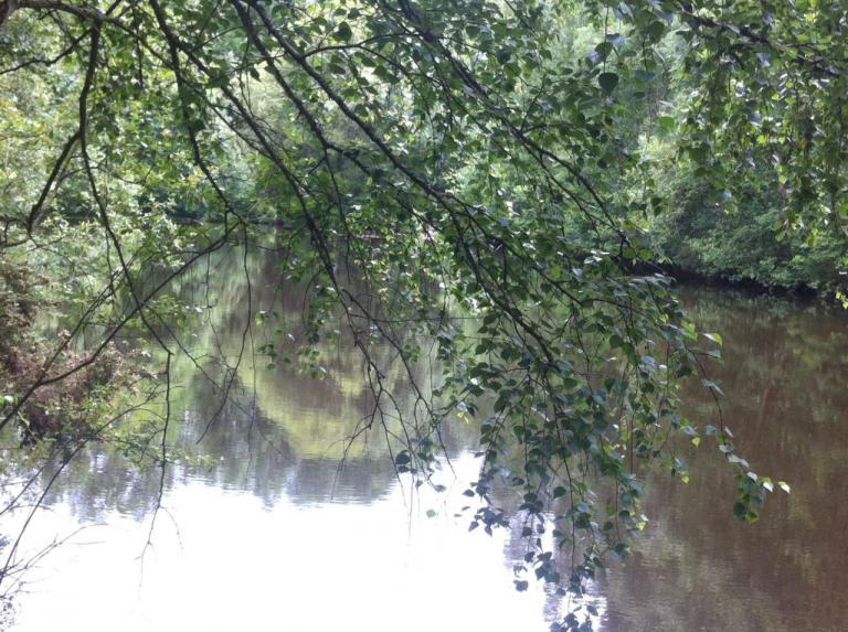 Brocéliande Lac du Val Sans Retour