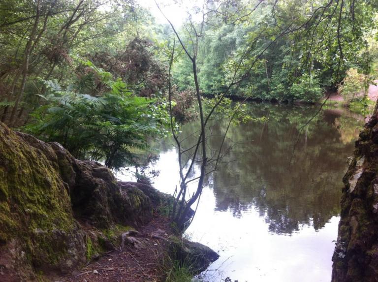 Brocéliande, Lac du Val Sans Retour