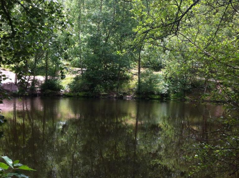 Brocéliande, Lac du Val Sans Retour