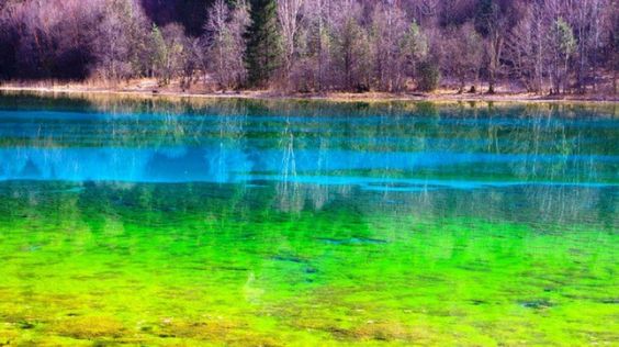 Lac cinq fleurs chine