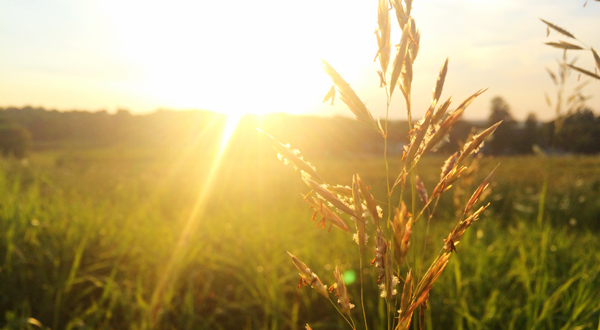 Soleil matin aube lumiere solatube banniere