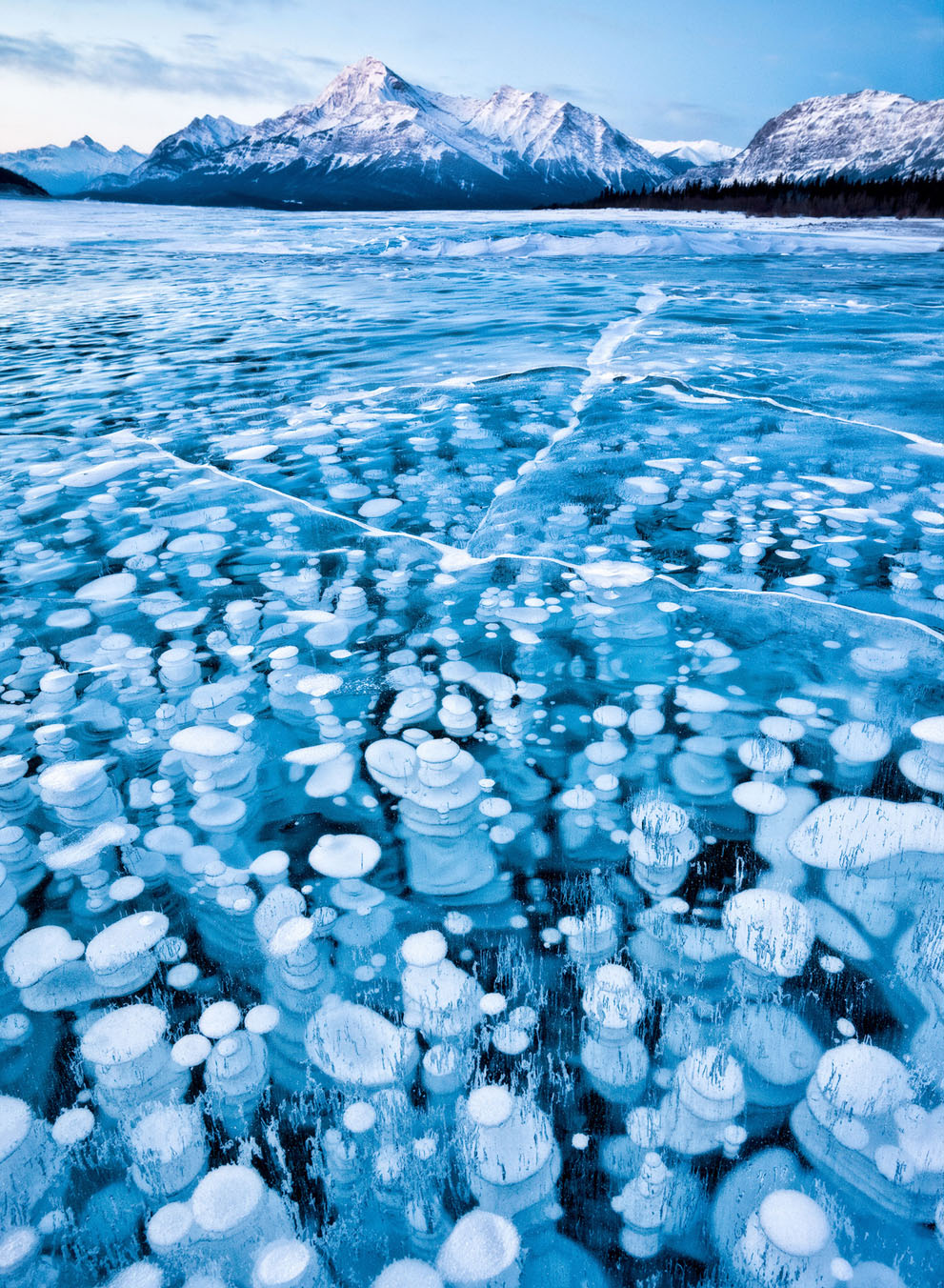 Winter in the canadian rockies